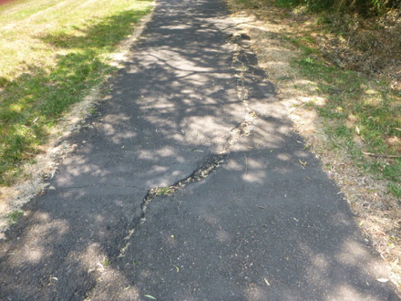 Fanno Creek Trail may have the occasional crack crossing its paved surface